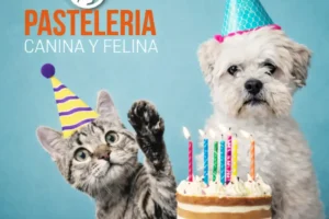 Pastelería Canina y Felina: qué enseña realmente esta masterclass y qué tipo de formación es
