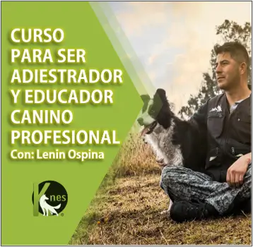 Curso de Adiestrador y Educador Canino Profesional