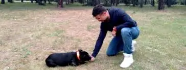 Carlos Carrasco enseñando en su formación